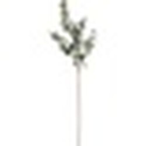 Piante artificiali HI2903 - Hill Interiors - Modalova