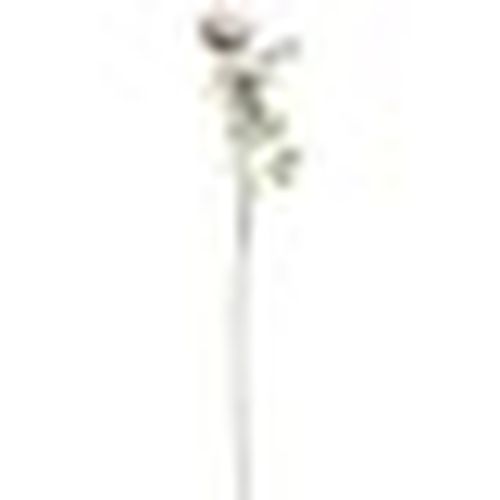Piante artificiali HI3721 - Hill Interiors - Modalova