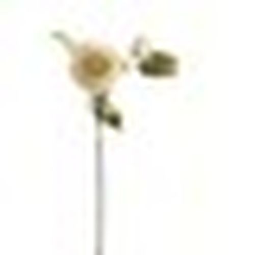 Piante artificiali HI4762 - Hill Interiors - Modalova