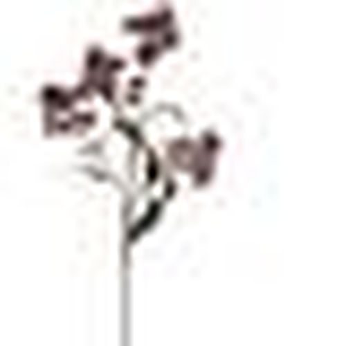 Piante artificiali HI4846 - Hill Interiors - Modalova