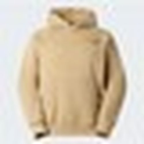 Felpe con cappuccio REGLAN BOX NSE - The North Face - Modalova