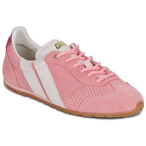 Sneakers basse BALLET BERRY BLUSH - Caval - Modalova