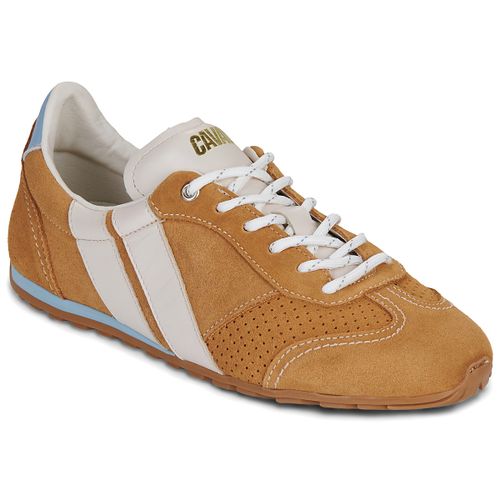 Sneakers basse BALLET COCO SKY - Caval - Modalova