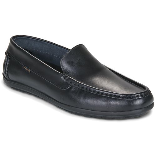 Scarpe Carlington DRIVER - Carlington - Modalova