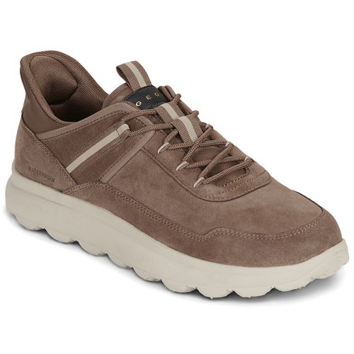 Sneakers U SPHERICA PLUS WATERPROOF - Geox - Modalova