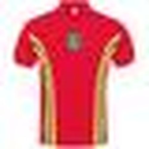 Polo Fa Wales 1976 John Toshack - Fa Wales - Modalova