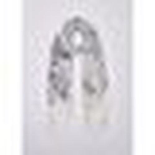 Sciarpa Liu Jo 2A6043 T2745-22222 - Liu Jo - Modalova