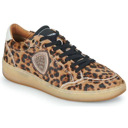 Sneakers basse Blauer OLYMPIA - Blauer - Modalova