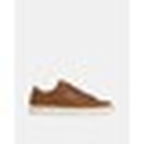 Sneakers PMS00048 JOE BASIC - Pepe Jeans - Modalova