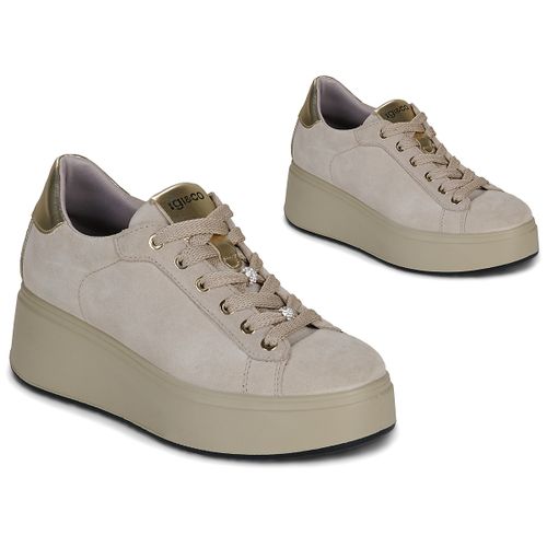 Sneakers basse IgI&CO D.ALLY - IgI&CO - Modalova