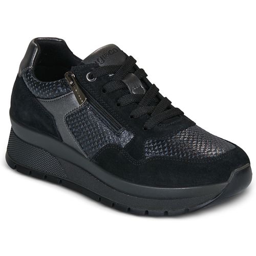 Sneakers basse IgI&CO D.ANASTASIA - IgI&CO - Modalova