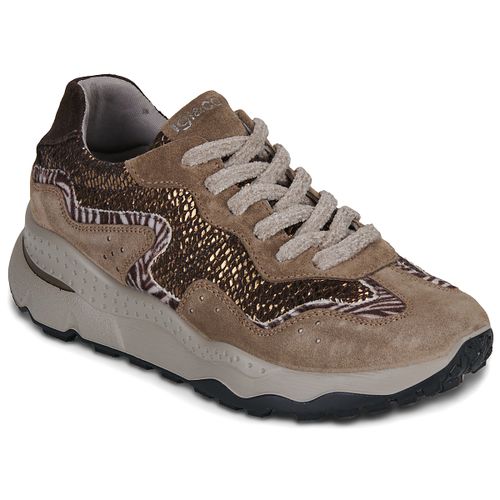 Sneakers basse IgI&CO D.ARTIKA - IgI&CO - Modalova