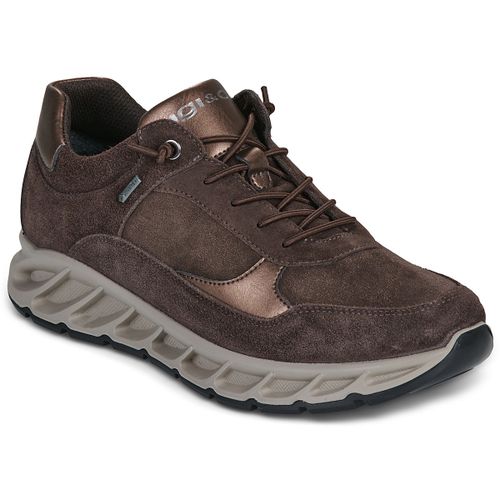 Sneakers basse IgI&CO D.KROSS GTX - IgI&CO - Modalova