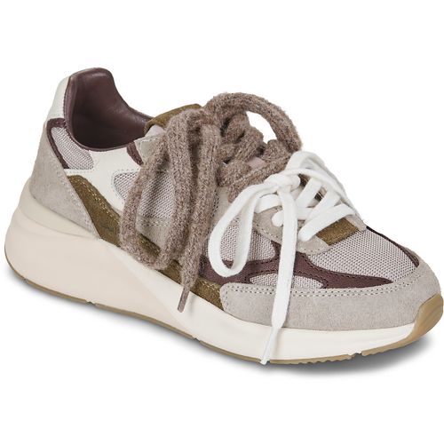 Sneakers basse MUSA MONO TAUPE - D.a.t.e. - Modalova
