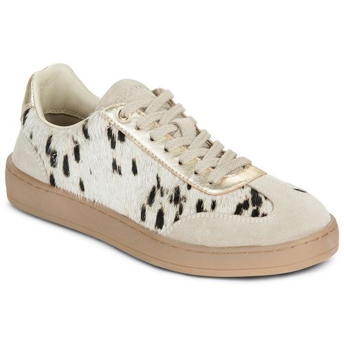 Sneakers basse Gioseppo 80298 - Gioseppo - Modalova
