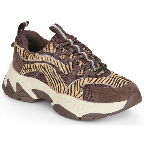 Sneakers basse ANIMATES LE - Steve Madden - Modalova