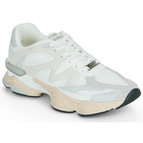 Sneakers basse SPEEDER - Steve Madden - Modalova