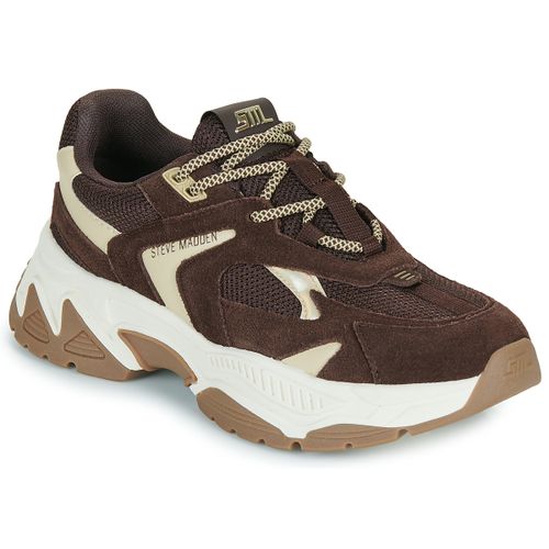 Sneakers basse Steve Madden AMPLE - Steve Madden - Modalova