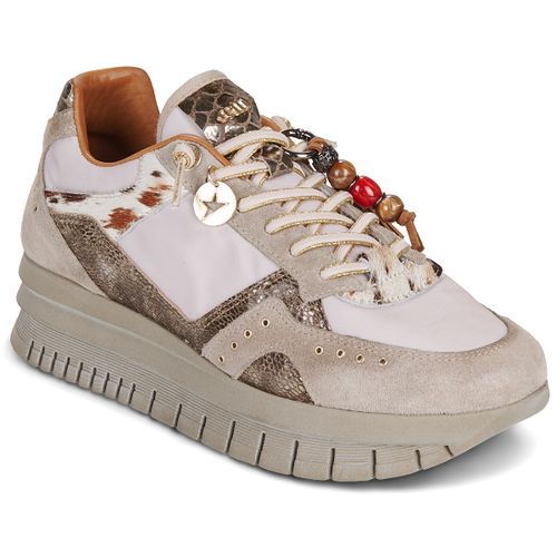 Sneakers basse Cetti C1405 - Cetti - Modalova