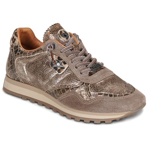 Sneakers basse Cetti C848 - Cetti - Modalova