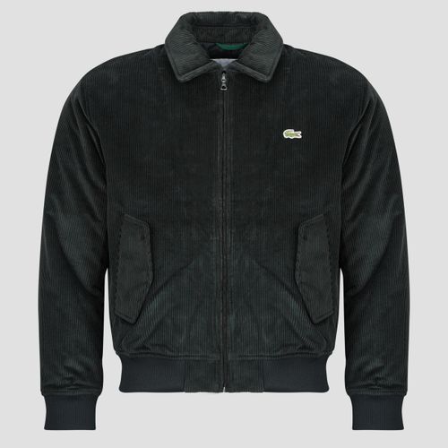 Giubbotto Blouson aviateur rembourré en velours côtelé - Lacoste - Modalova