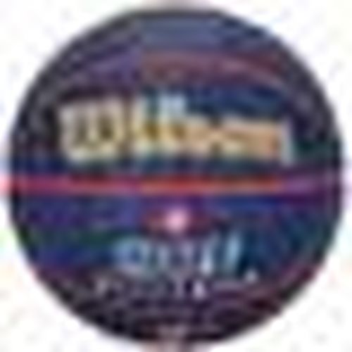 Accessori sport Zion Williamson Icon ball Size 7 - Wilson Team - Modalova