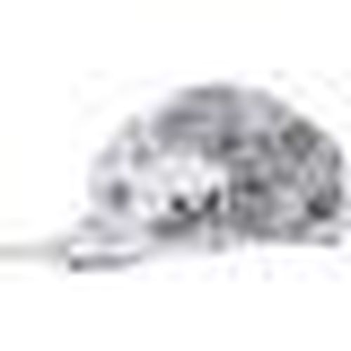 Cappellino Ne Camper Reversible Paisley Ivory - New-Era - Modalova