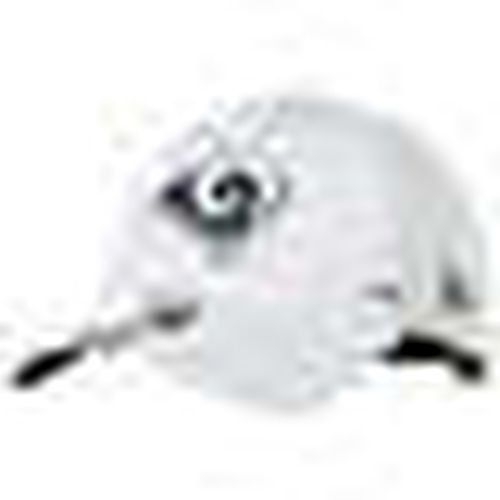 Cappellino Curva920 Official19 Training Camp - New-Era - Modalova