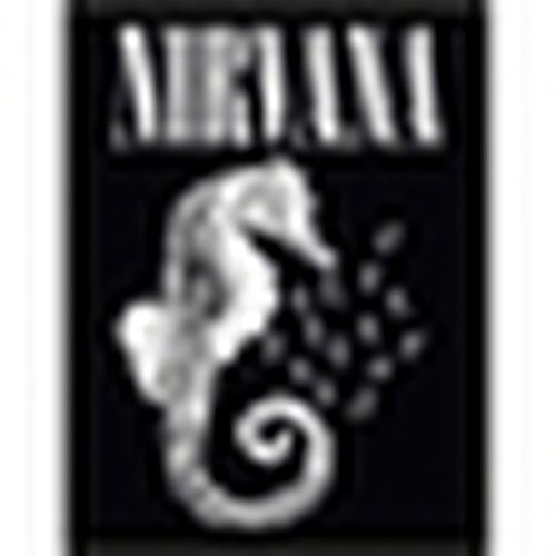 Poster 40 cm x 30 cm PM13581 - Nirvana - Modalova