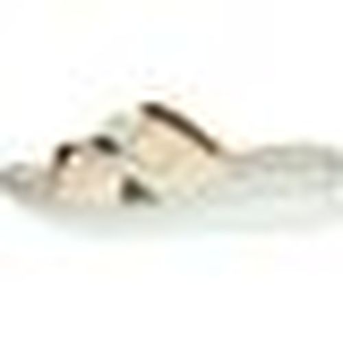 Scarpe Valleverde ATRMPN-55226 - Valleverde - Modalova
