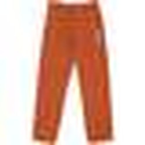 Pantaolini dritti 874 Work Pant Rec Gingerbread - Dickies - Modalova