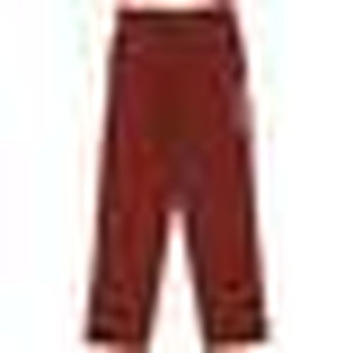 Pantaolini dritti 874 Work Pant Rec Brick - Dickies - Modalova