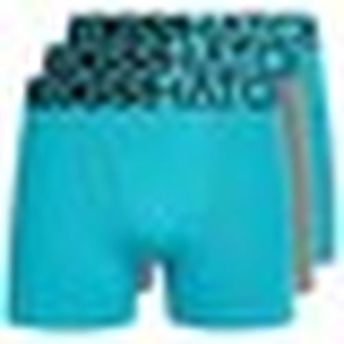 Boxer Crosshatch Typan - Crosshatch - Modalova