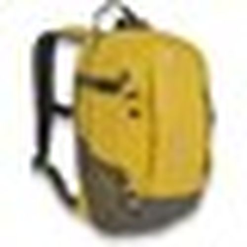 Zaini Ande Flash 20 Lt - Ande - Modalova
