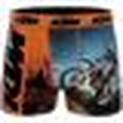 Boxer Ktm Boxer - KTM - Modalova