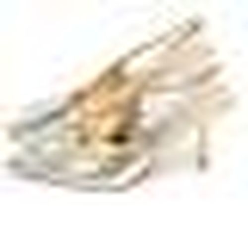 Scarpe Imperatrice SP551ORO - Imperatrice - Modalova
