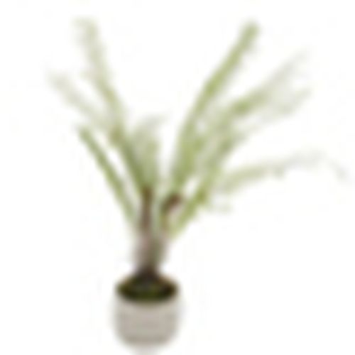 Piante artificiali HI4707 - Hill Interiors - Modalova