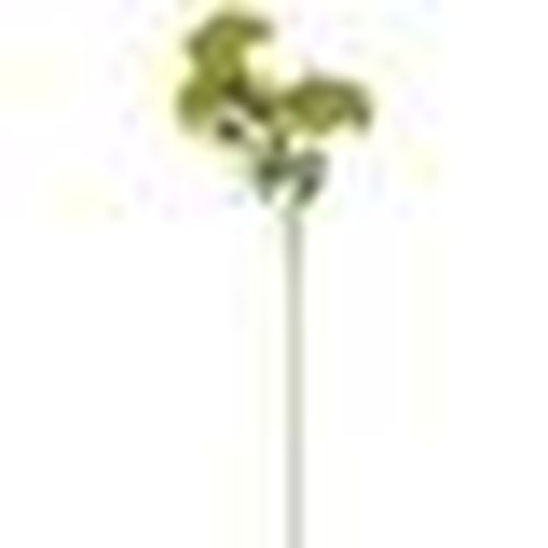 Piante artificiali HI5062 - Hill Interiors - Modalova