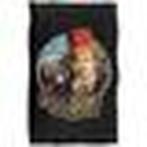 Plaid, coperte 147 cm x 91 cm TV38411 - Willy Wonka & The Chocolate Fact - Modalova