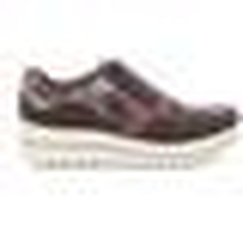 Sneakers Evaflex 68335 - Evaflex - Modalova