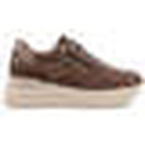 Sneakers Queen Helena X3525 - Queen Helena - Modalova