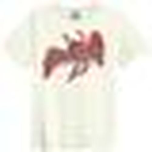 T-shirt US Tour 77 Icarus - Amplified Clothing - Modalova