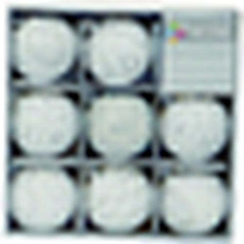 Decorazioni natalizie ST13506 - Premier - Modalova