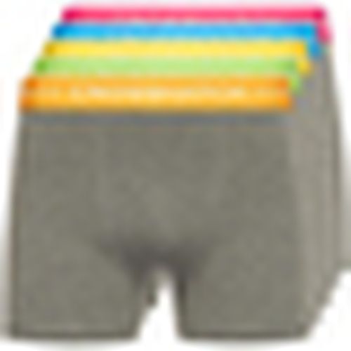 Boxer Crosshatch Astral Bright - Crosshatch - Modalova