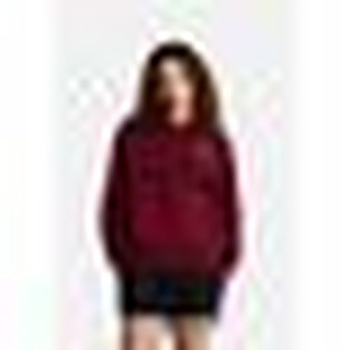 Felpa W EVO SD REG HOODIE - The North Face - Modalova