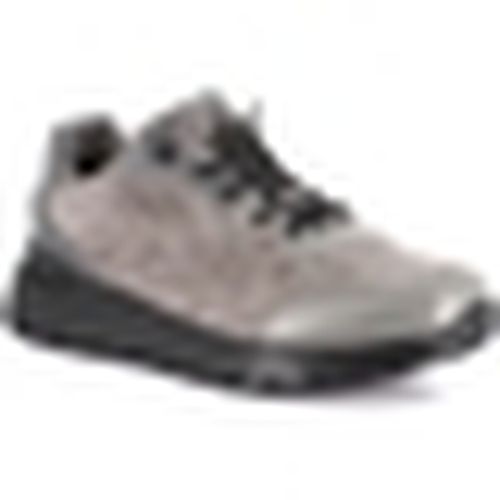 Sneakers basse Grunland DSG-SC6348 - Grunland - Modalova
