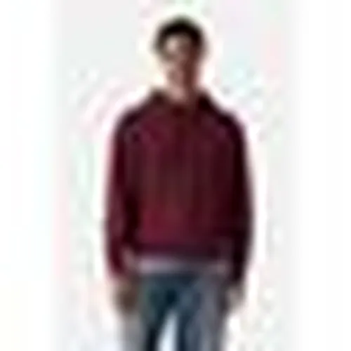 Felpe con cappuccio THE ORIGINAL HM HOODIE - Levis - Modalova