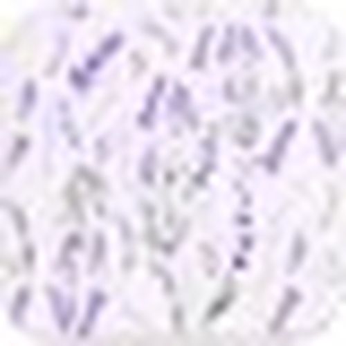 Set da tavola Set 4 Sottobicchieri Lavanda - Signes Grimalt - Modalova