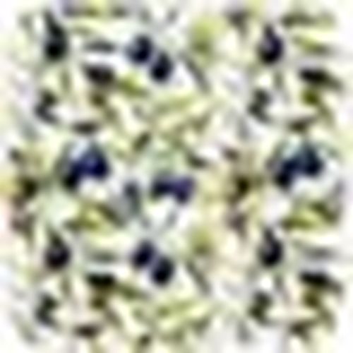 Set da tavola Set 4 Sottobicchieri Olive - Signes Grimalt - Modalova