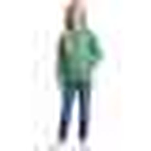 Felpe con cappuccio Evolution Simple Dome - The North Face - Modalova